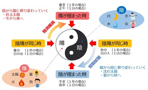 太極陰陽|陰陽論から読み解く太極の本質【陰陽論①】 